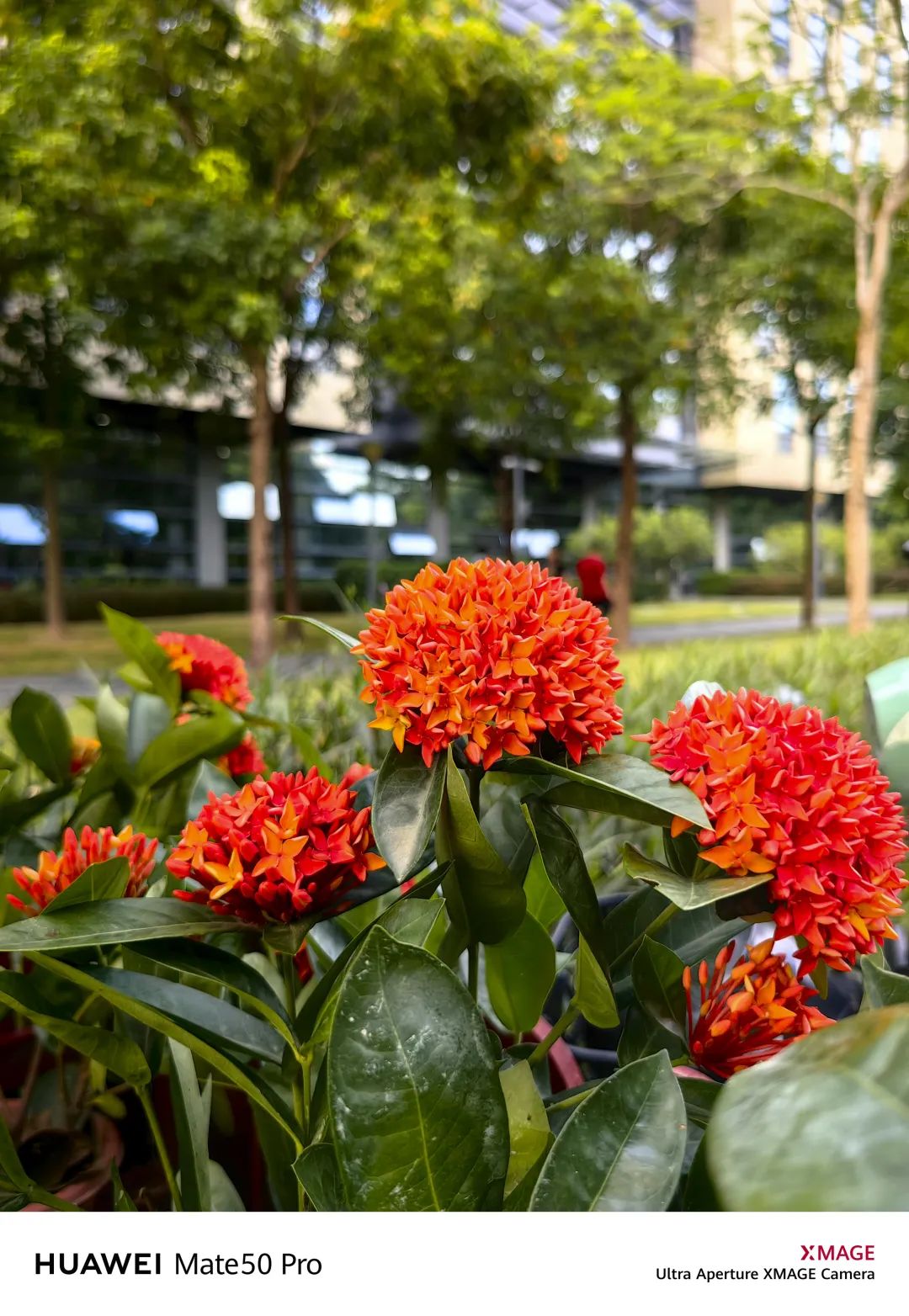 华为mate50pro深度体验感受,华为mate50pro评测超详细版