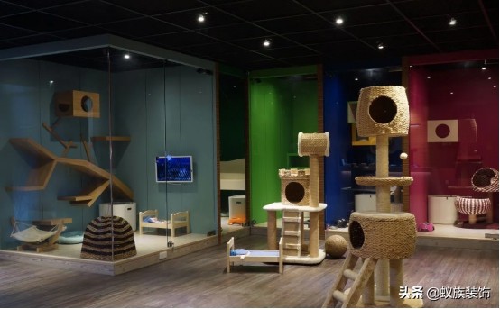 宠物店室内装修怎么吸引顾客,宠物店简单装修多少钱