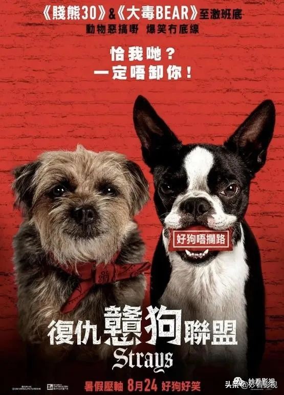 8月值得一看的电影,这个八月