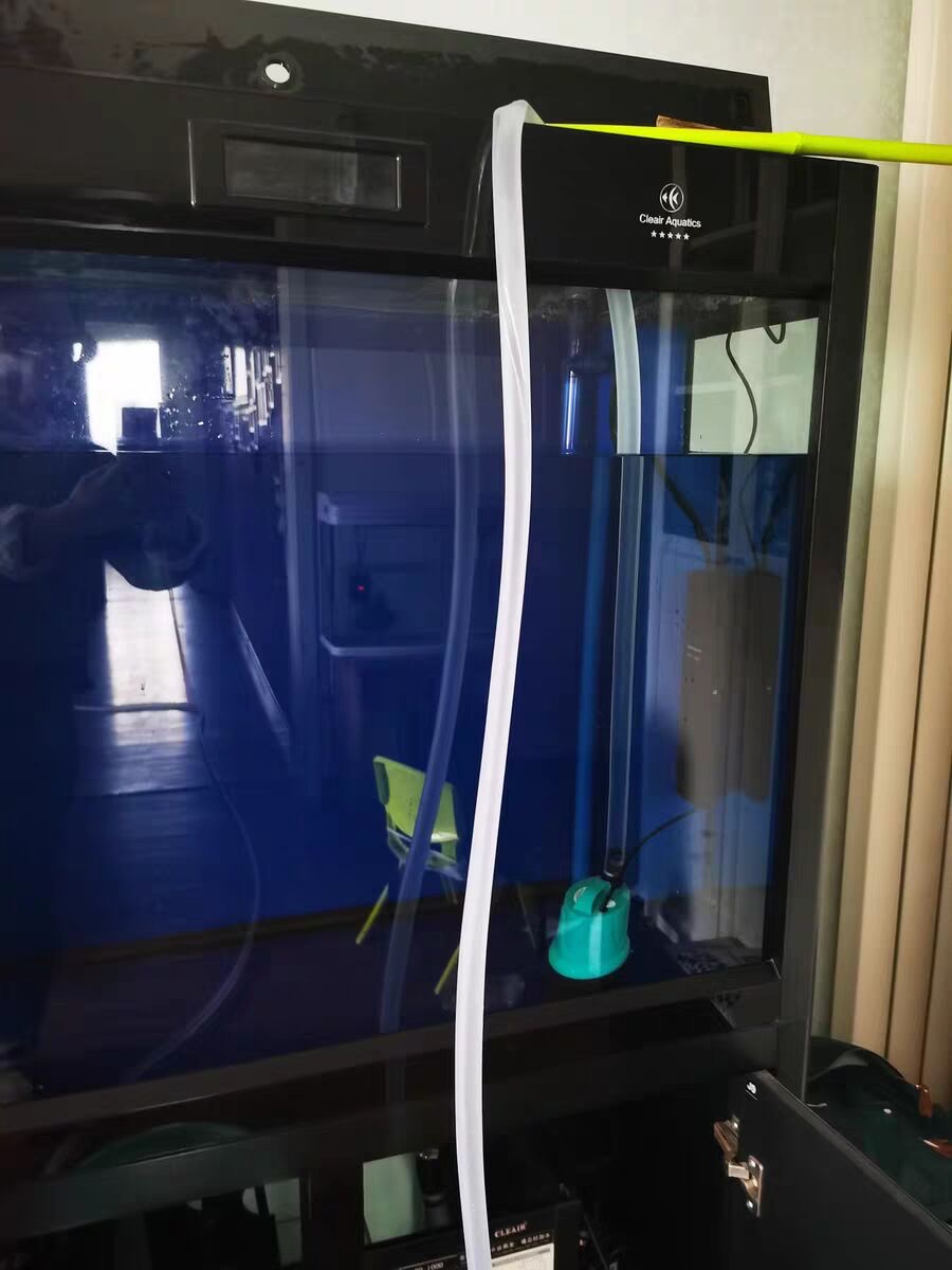 鱼缸换水管子怎么吸出来水,鹦鹉鱼缸换水的正确方法