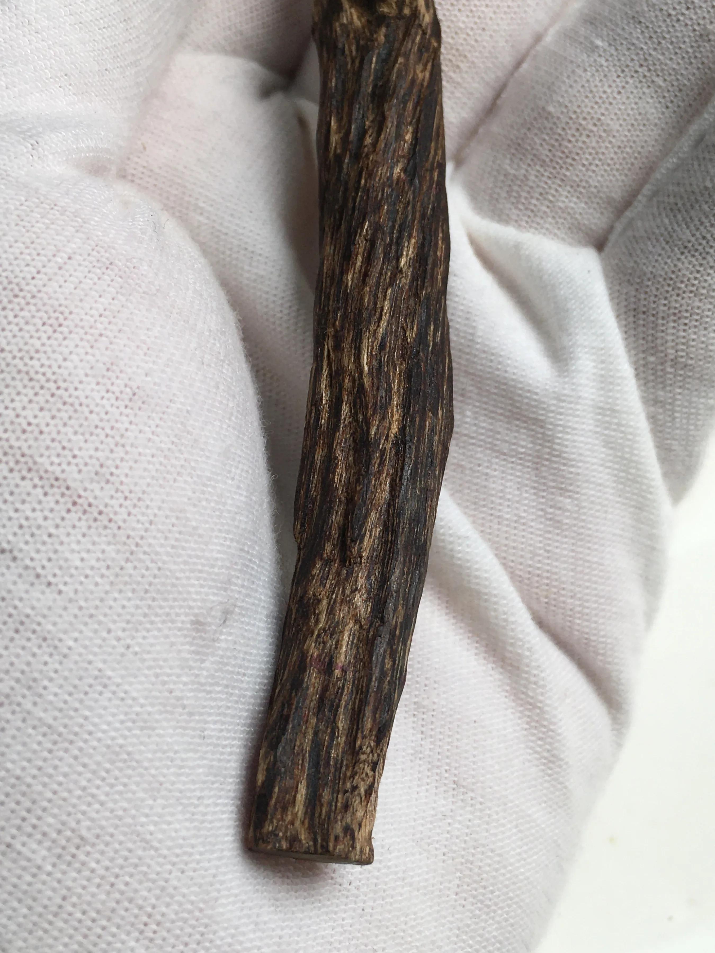 香港沉香属于星洲不,香港与沉香的关系