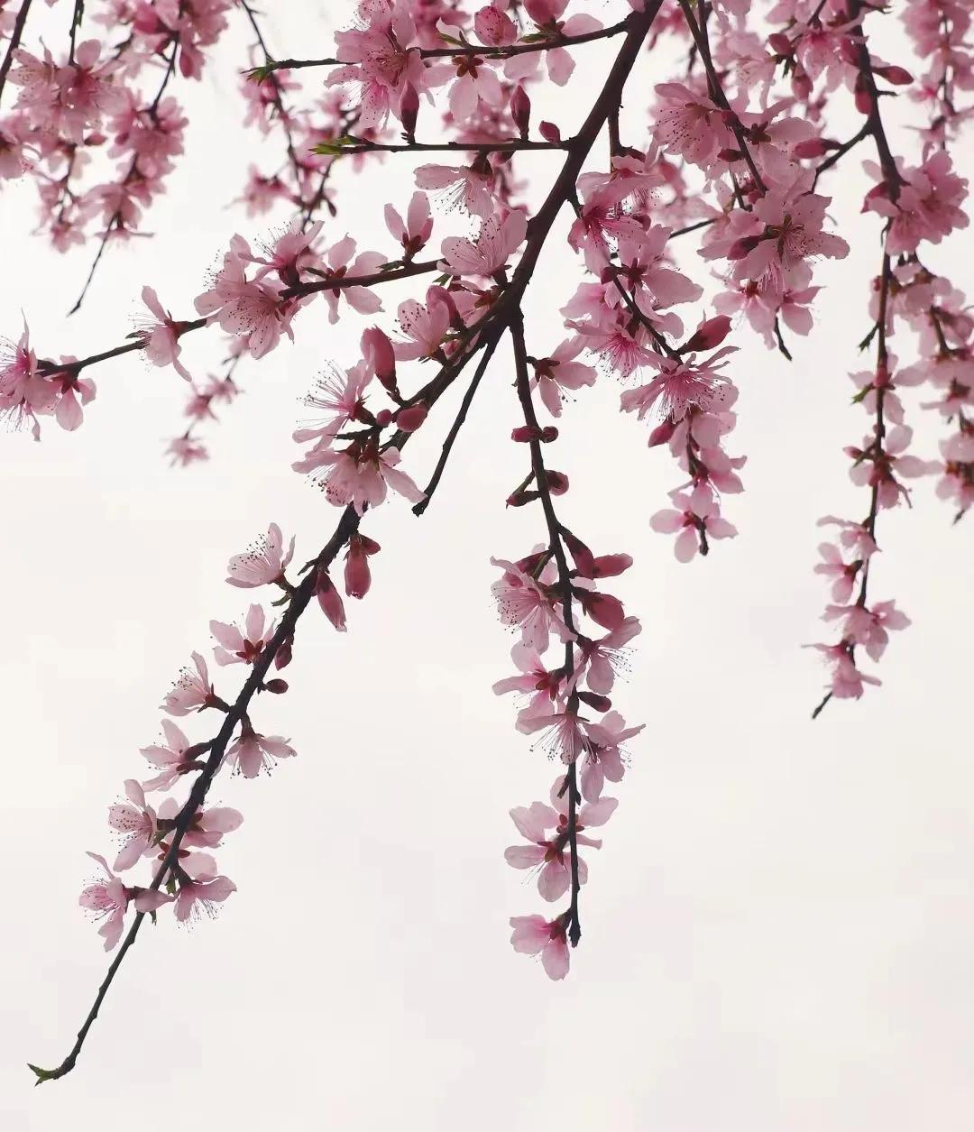 趣味答题赛介绍,趣味答题活动报道