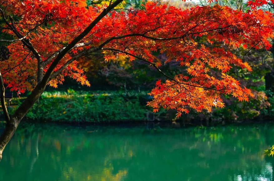 赞美西湖秋日美景的诗词,关于西湖深秋景色的唯美诗句