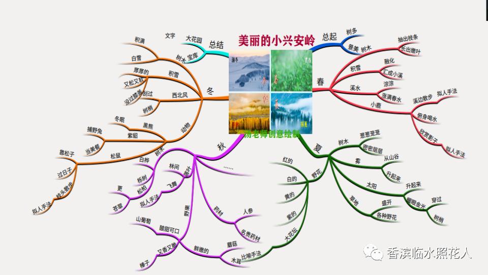 教你用思维导图学语文,语文思维导图20课小兴安岭