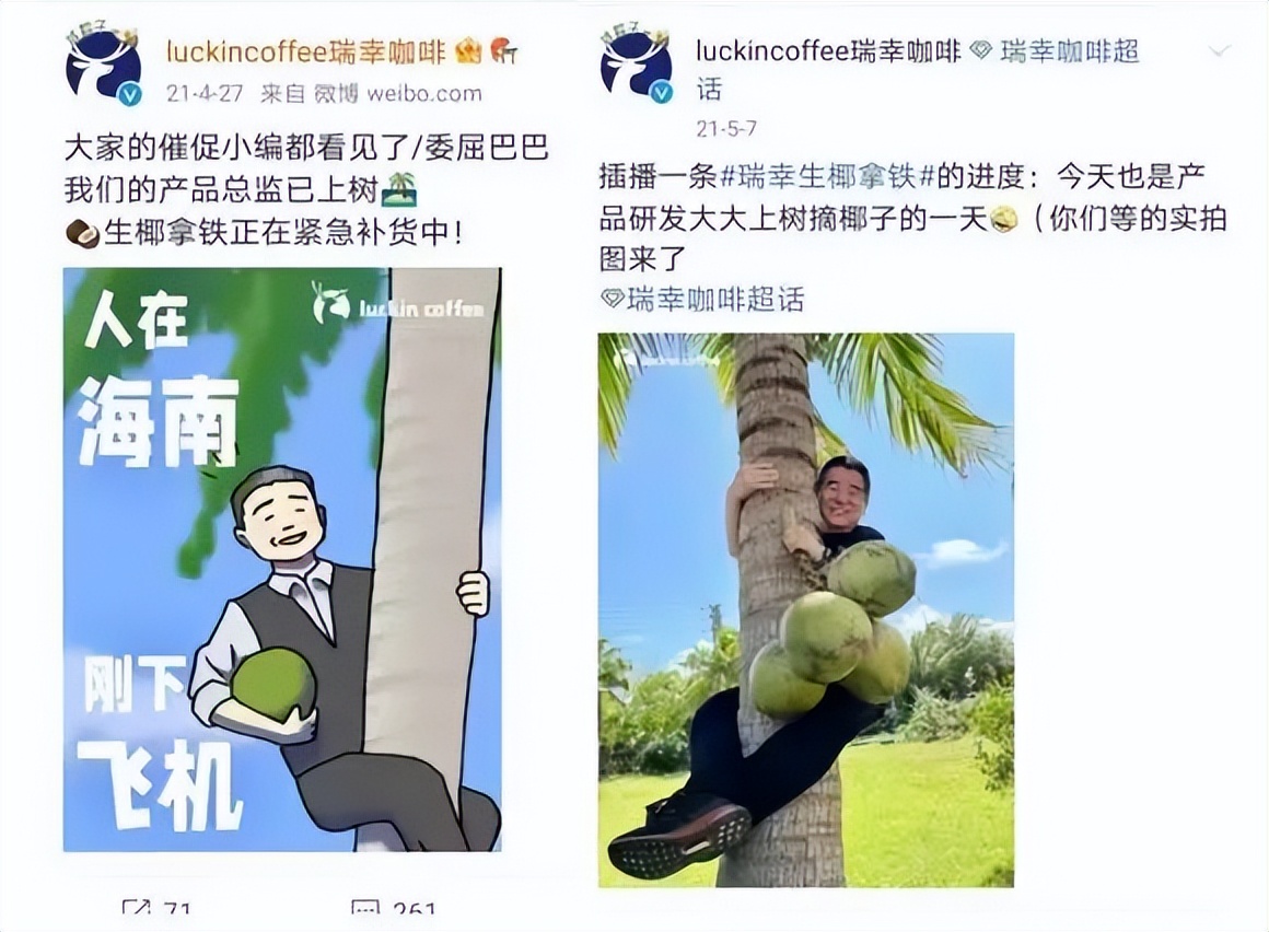 “椰风”四起，椰子元素为何越来越火？