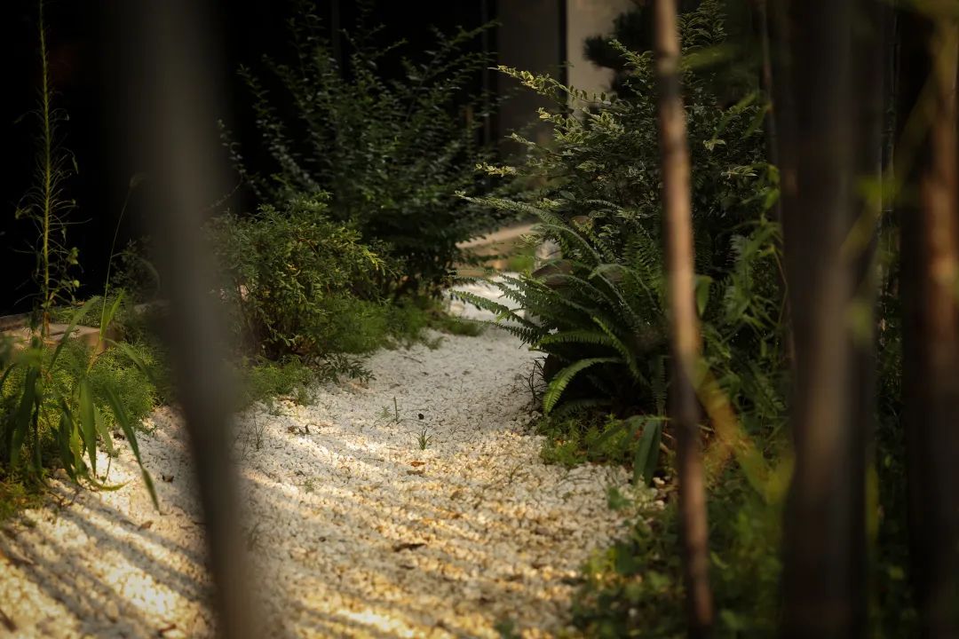 湖畔雅居院落,湖畔雅居图