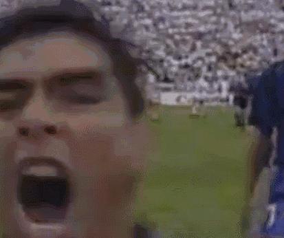 足球解说经典语录贝利,关于贝利的歌