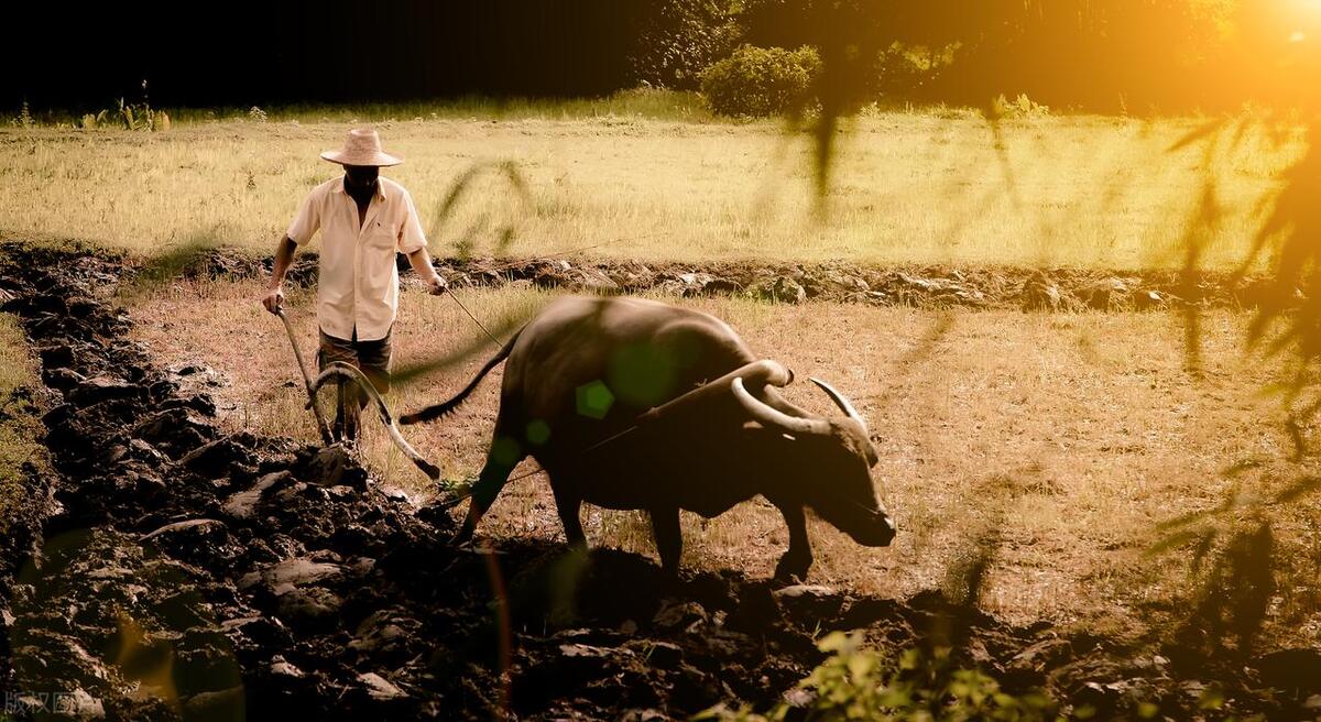 你眼中的父亲的样子,父亲眼中的爸爸是什么样子