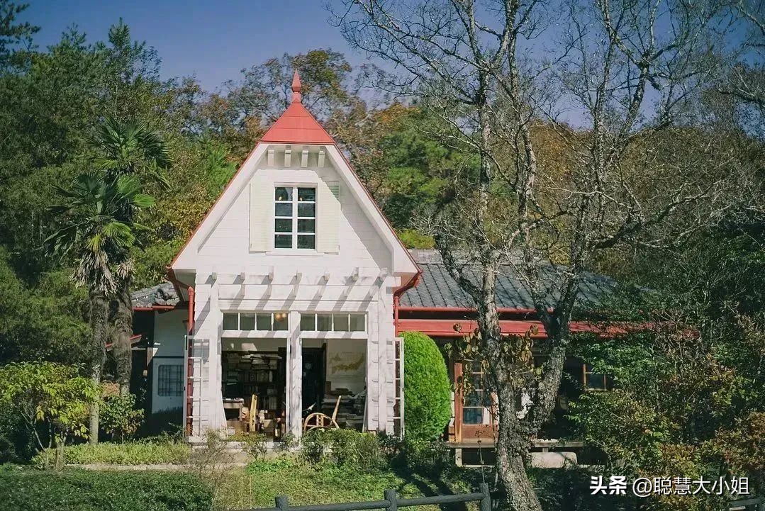 宫崎骏三鹰美术馆完整版,三鹰之森宫崎骏第二弹图鉴