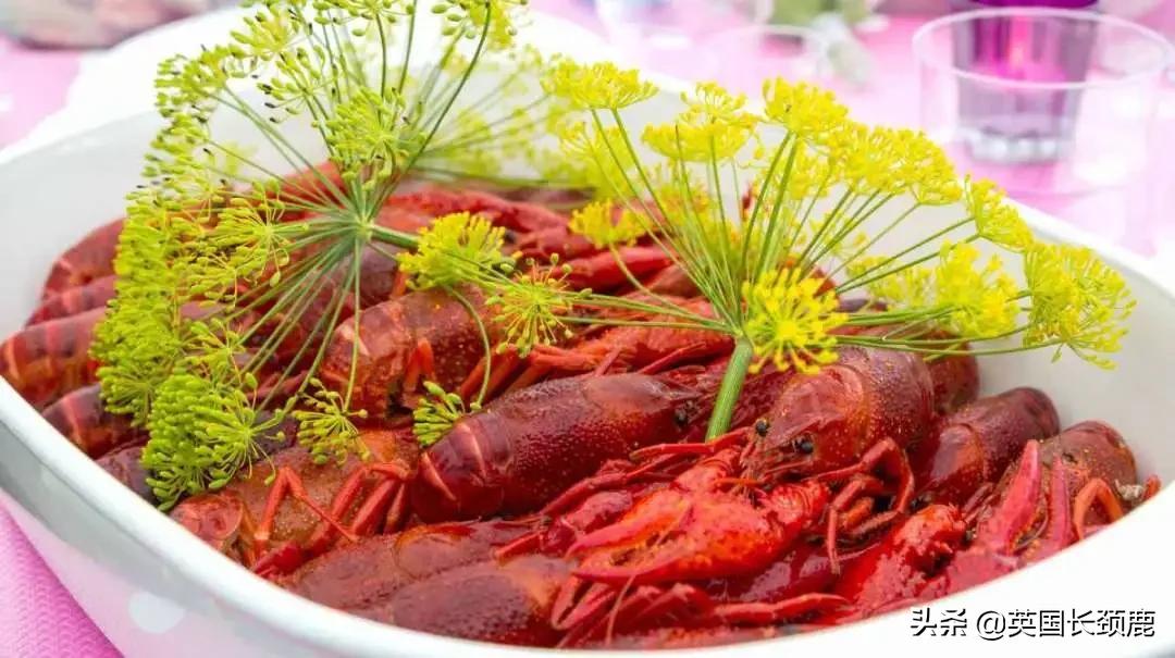 英国进口牛排,英国在线购买奶牛