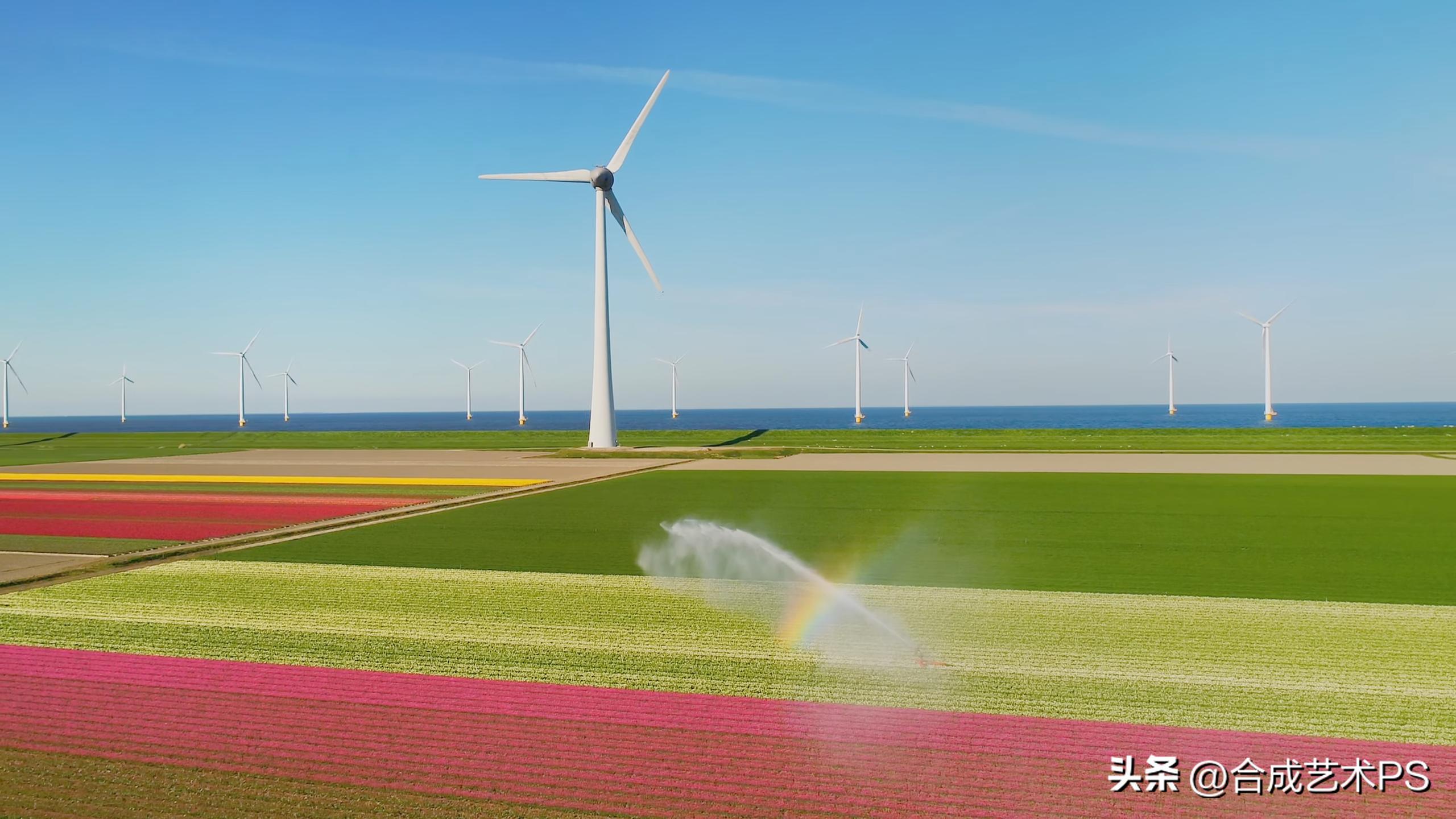 风车王国荷兰,荷兰田野中的风车