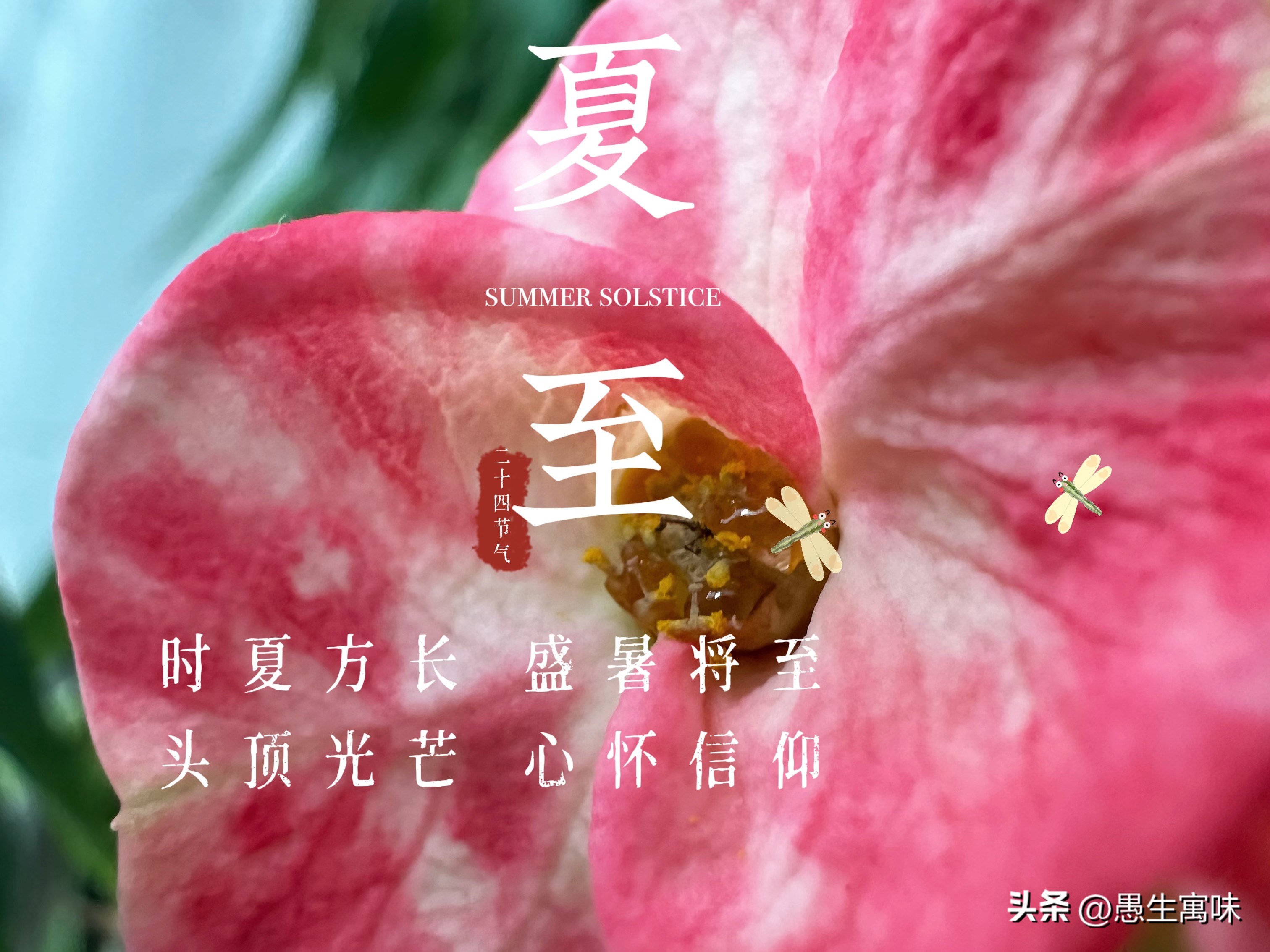 高考是什么时候出成绩,高考是什么感觉