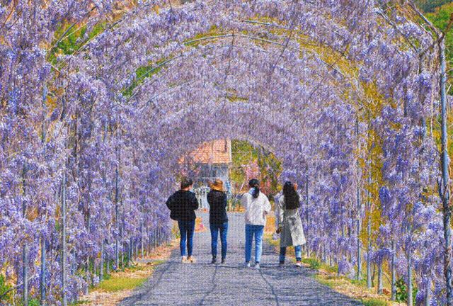 现实版小森林，这些藏在西海岸周边的乡野太治愈