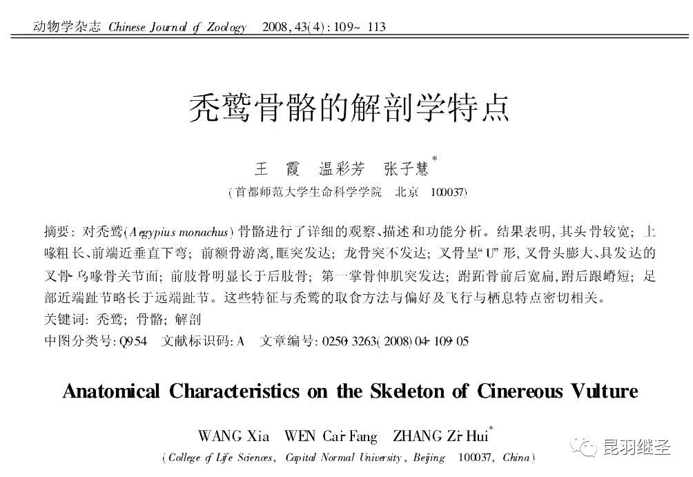 剥掉伪国学的画皮,扒一扒西方历史