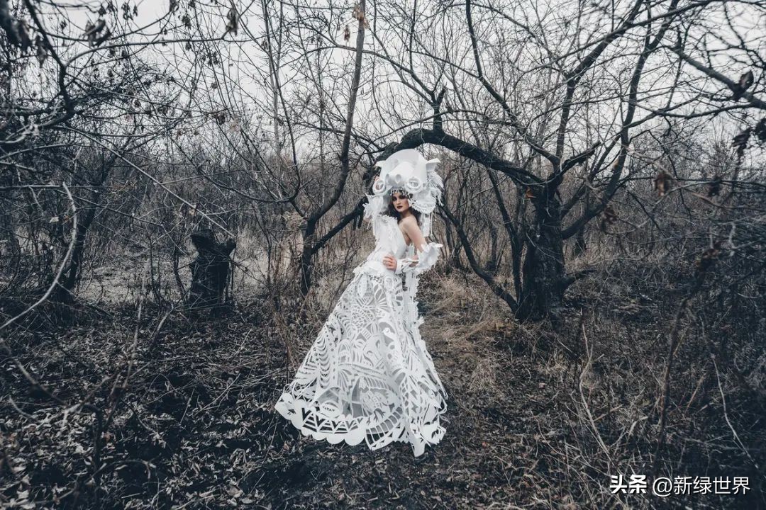 纸艺作品绘画,千变万化的纸艺术作品