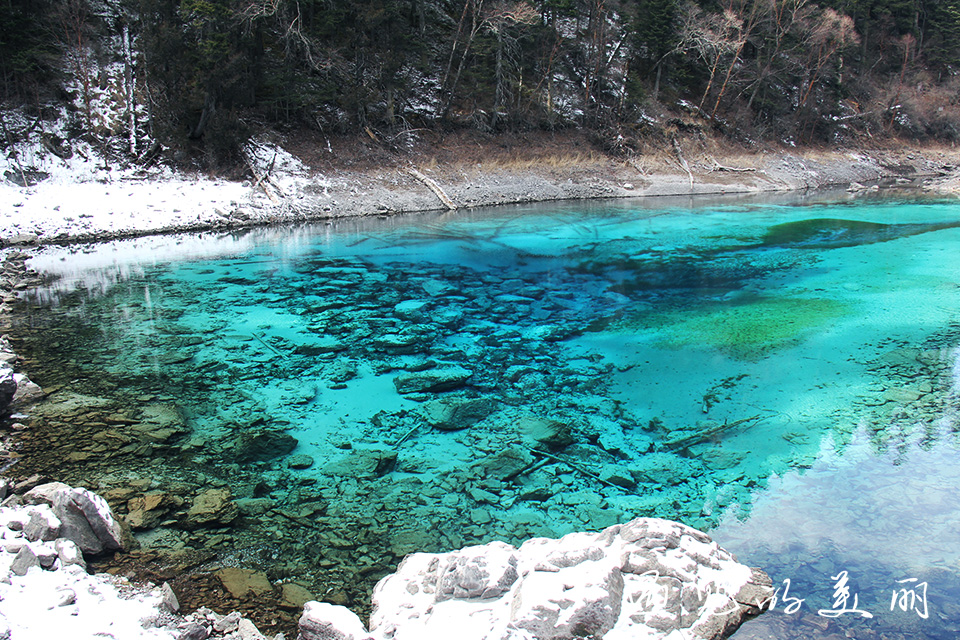 如果一生只去一个古城,一生去一次九寨沟