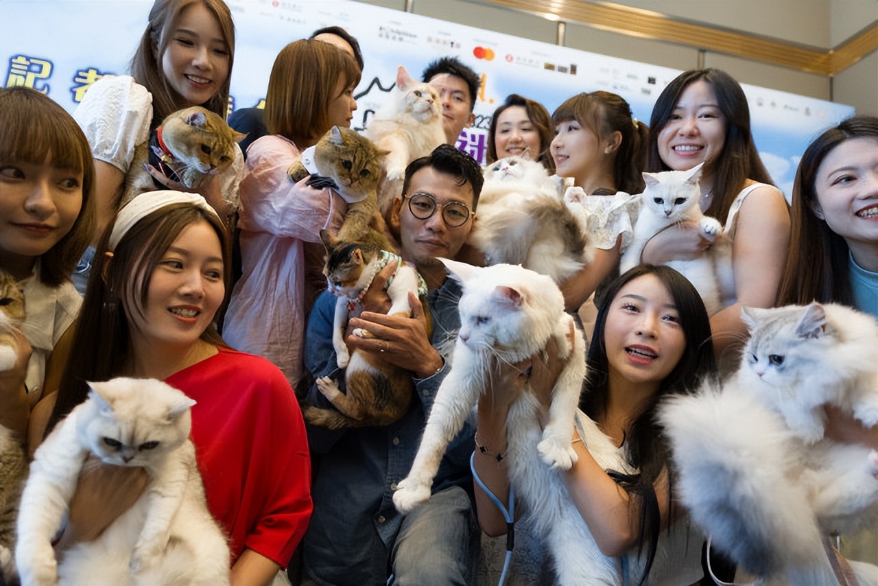 有得买怎么样,有得买吗