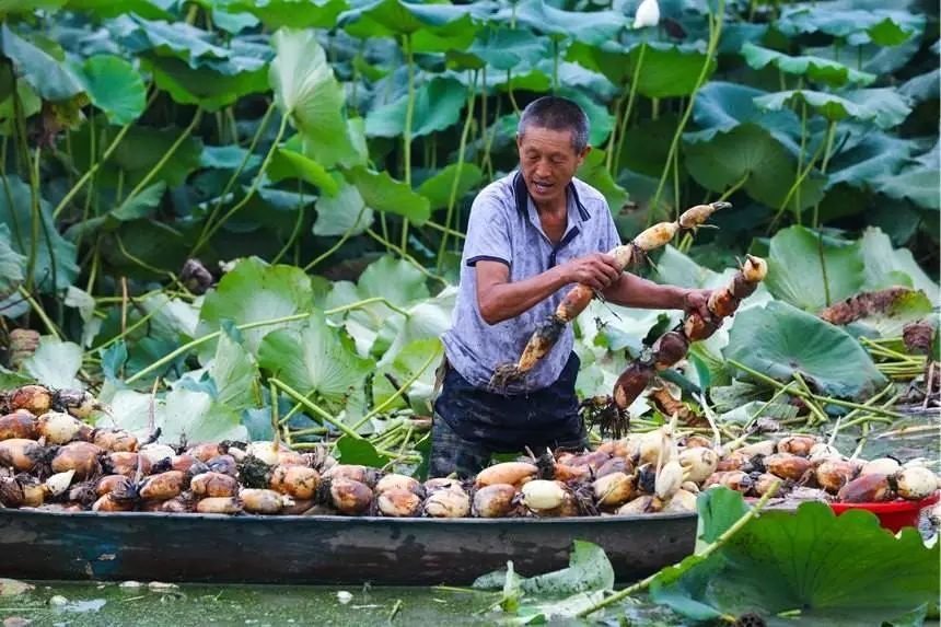 广州去广东第一峰旅游攻略,广州出发清远古龙峡两天攻略