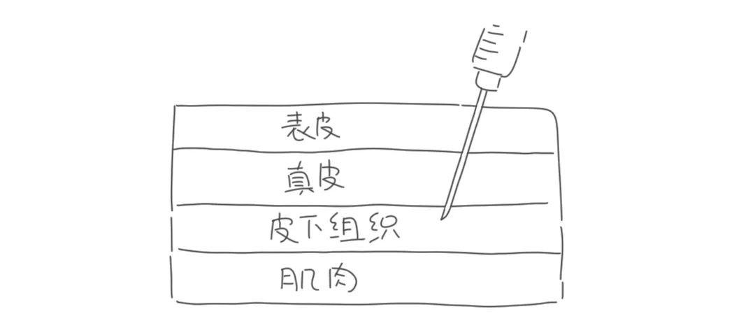 如何预防过敏,如何预防过敏体质