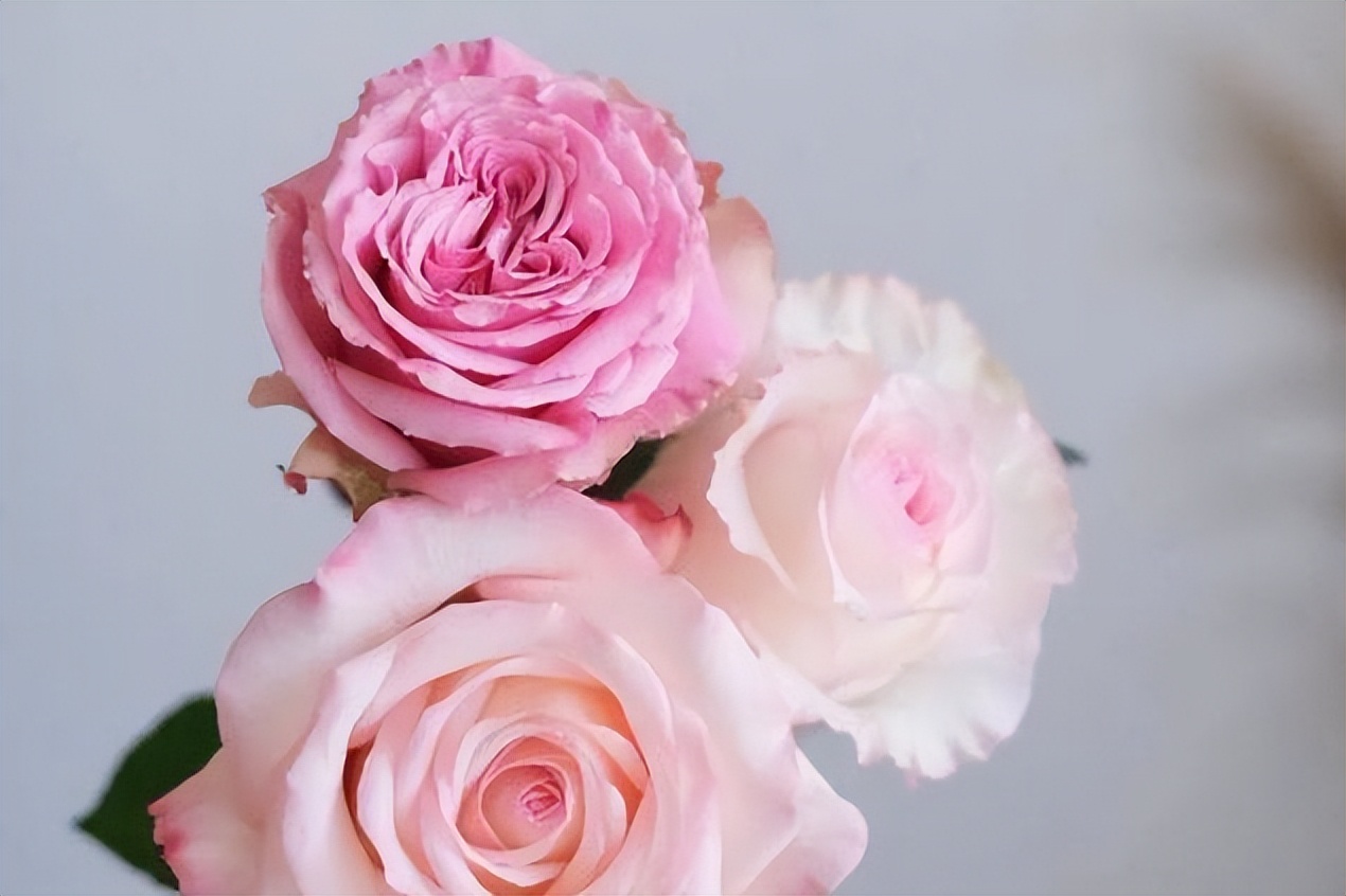 女人想和你进一步确定关系的表现,女人想和你保持关系的三种表现