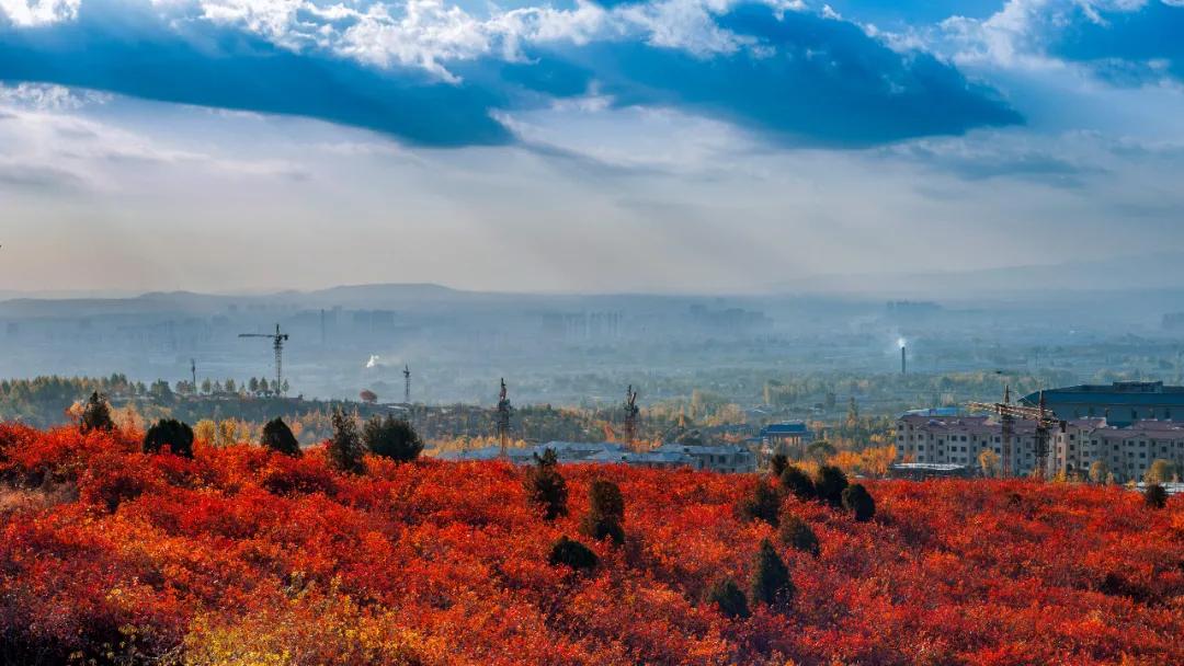 西安大唐不夜城网红风景,大唐不夜城网红景区