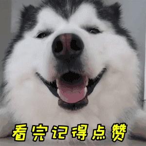 狗狗舔别的狗尿液是什么原因,狗狗舔你的原因你不一定知道