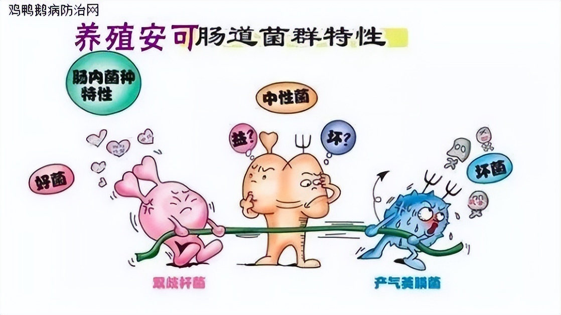 浣庨挋楗叉枡,浣庨挋鏃ョ伯