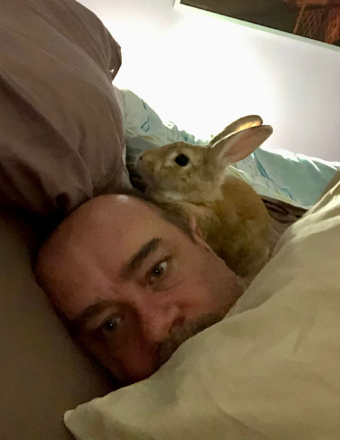 兔兔超可爱的真人照片,兔兔超可爱露脸照片