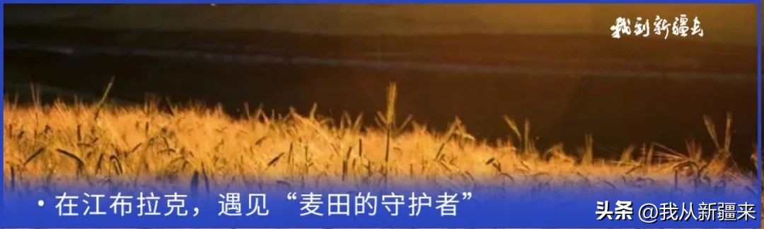 入疆旅游攻略,一篇攻略秒懂新疆