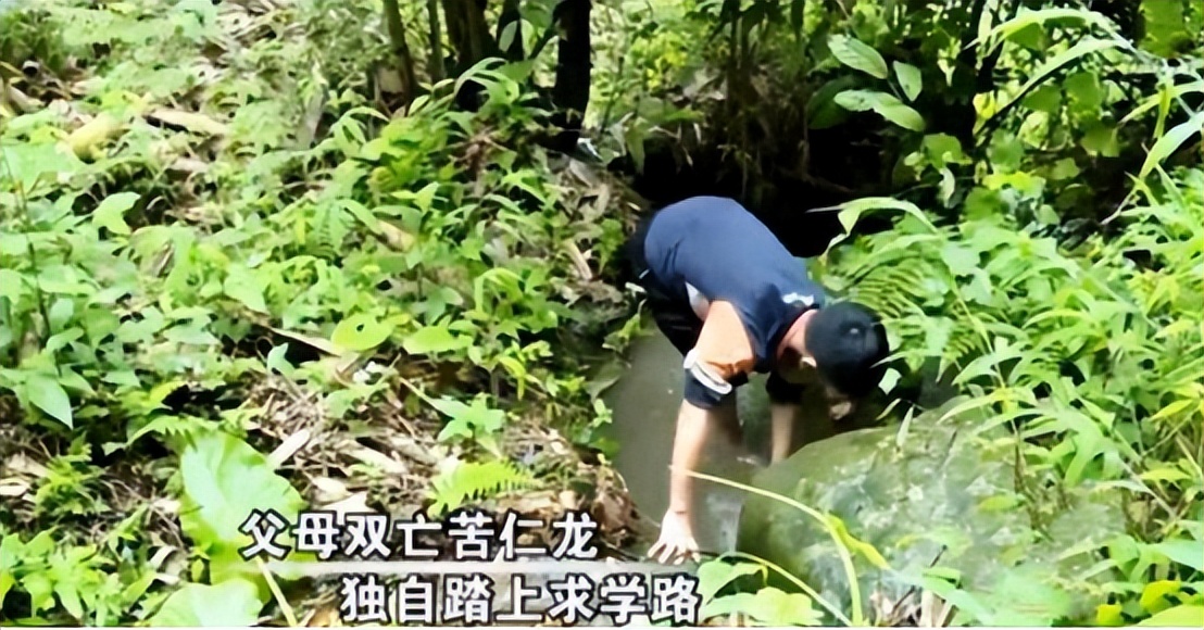 13岁孤儿独自生活,孤儿韦仁龙707分考上北大