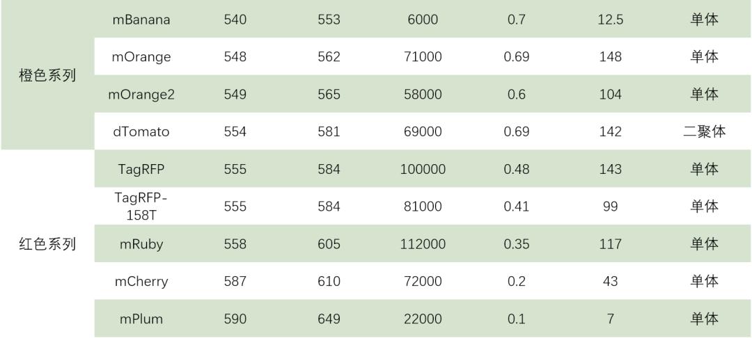 免疫荧光与荧光蛋白的优缺点,标签蛋白