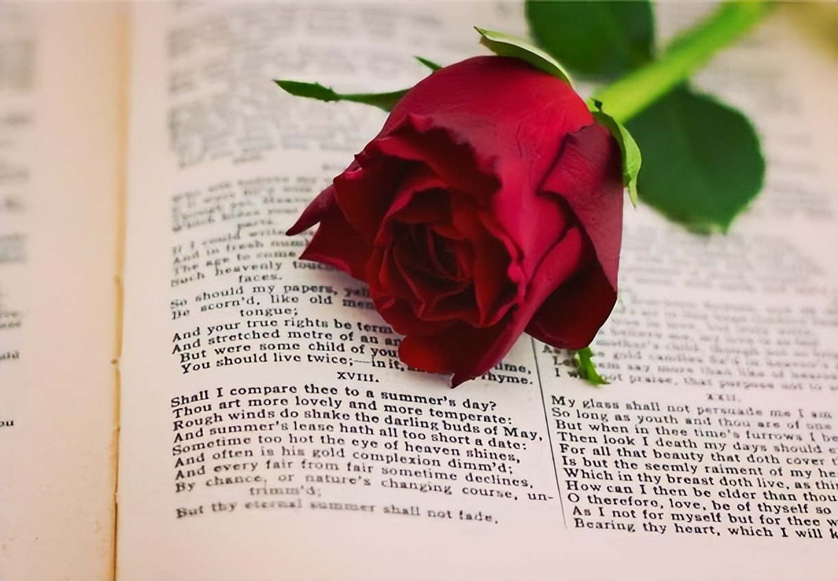 我和文学的灵魂,我和文学在一起