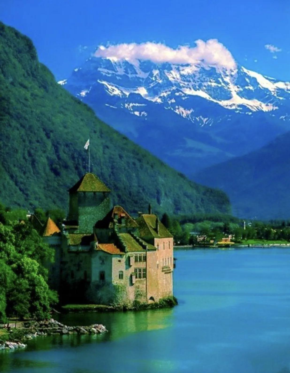 热搜上穿性感旗袍卖“*霸波**奶茶”的女老板，暴露出当下网红的病态