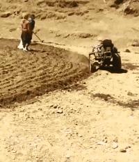 神回复：扔第一颗的时候，日本就是这么想的！神评把我笑死了