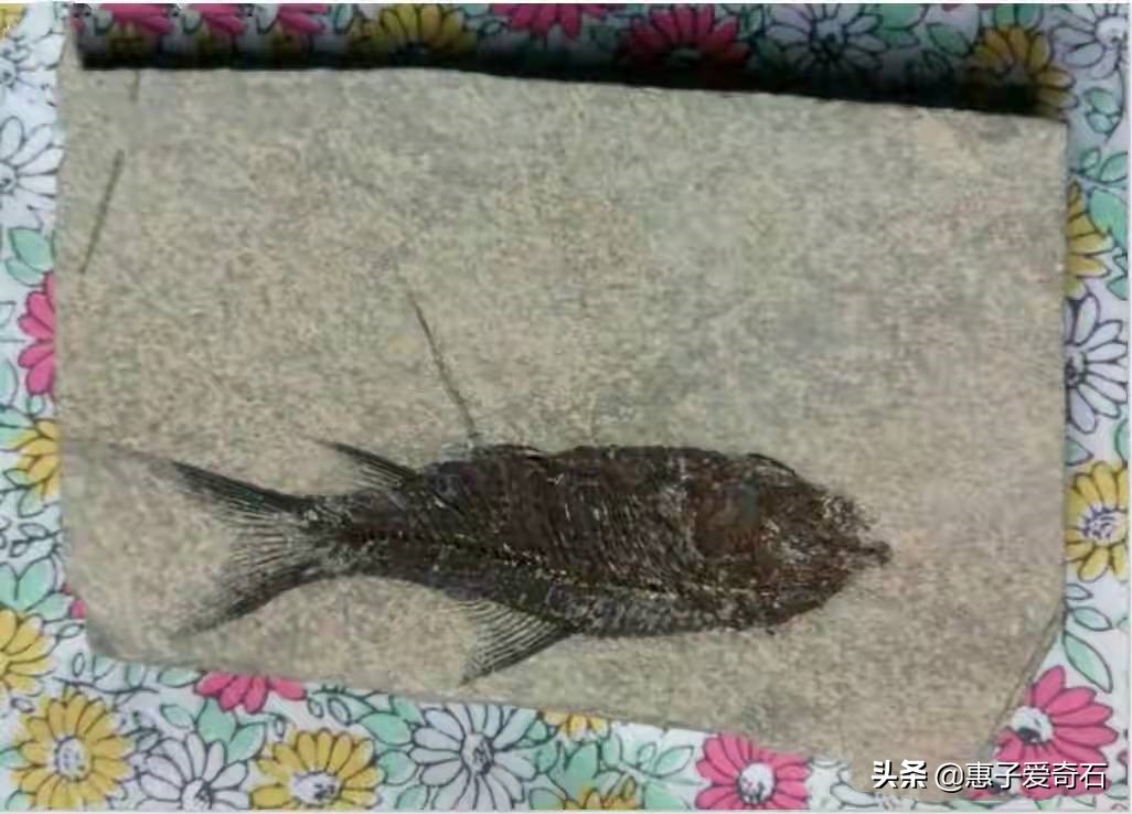 成交价最高的奇石,长江绝品奇石