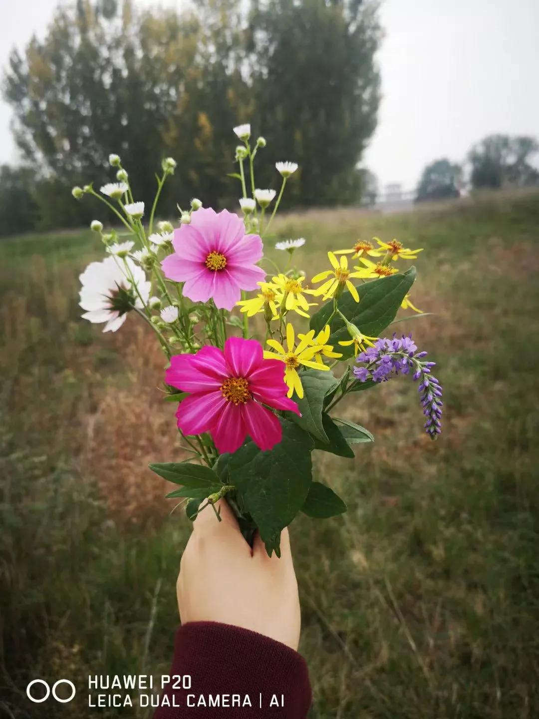 2022年终述职报告模板,实用的个人述职报告模板汇总6篇