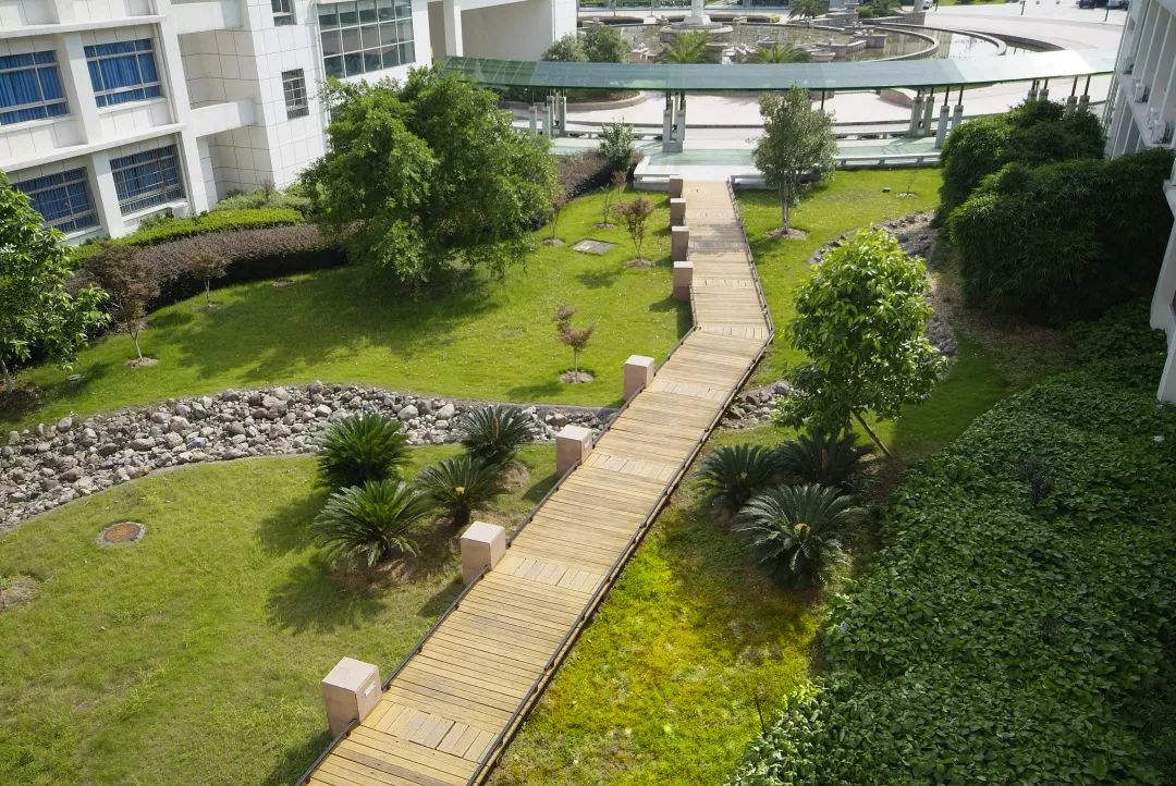 大学校园绿化设计,现代校园绿化规划设计