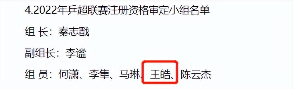 王皓当选男乒总教练,王皓当选国家队教练