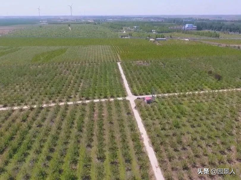 标杆房企园林景观工序,最新热销地产项目景观设计全解密