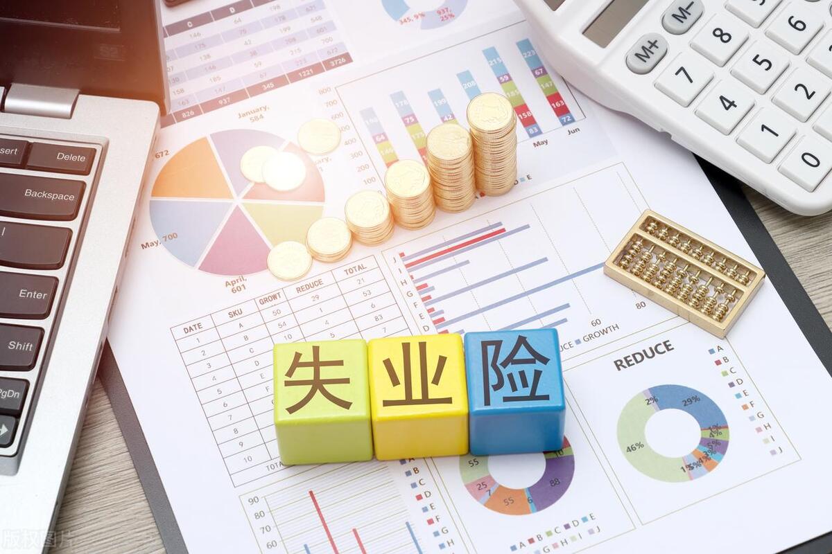 失业保险如何发挥促进就业的功能,失业保险的实施方案有哪些