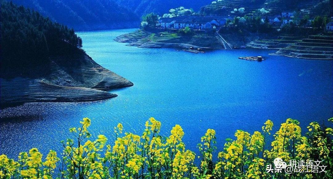 中考书信作文题,书信式作文中考满分范文