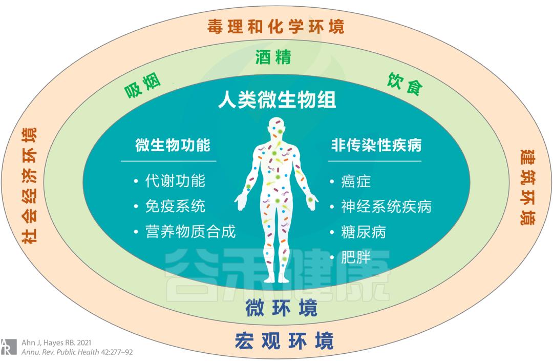 肠道菌群失衡会引起什么问题,肠道菌群失衡有哪些表现