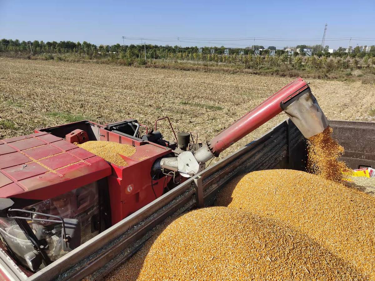 安徽省粮食大丰收,大丰收全程托管