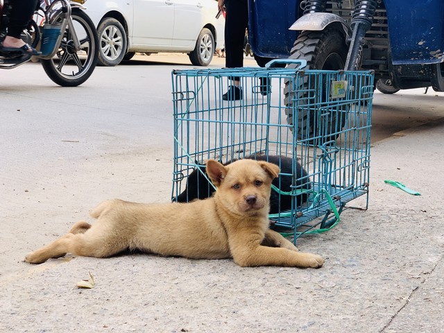 想创业养殖怎么贷款,想创业做什么养殖项目