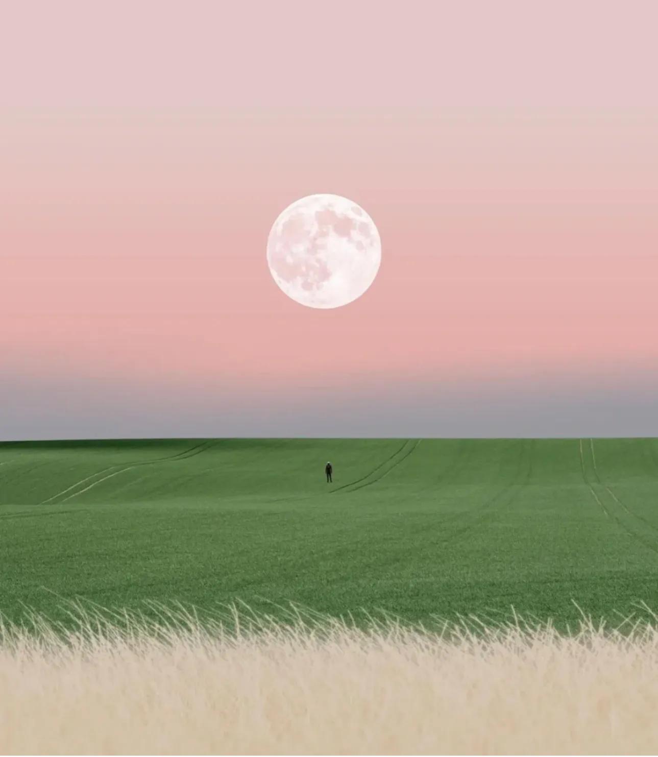 离职了，2023上半程最好的告别