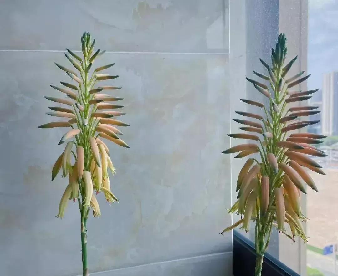 历史上的6月23日,历史上的今天6月23日