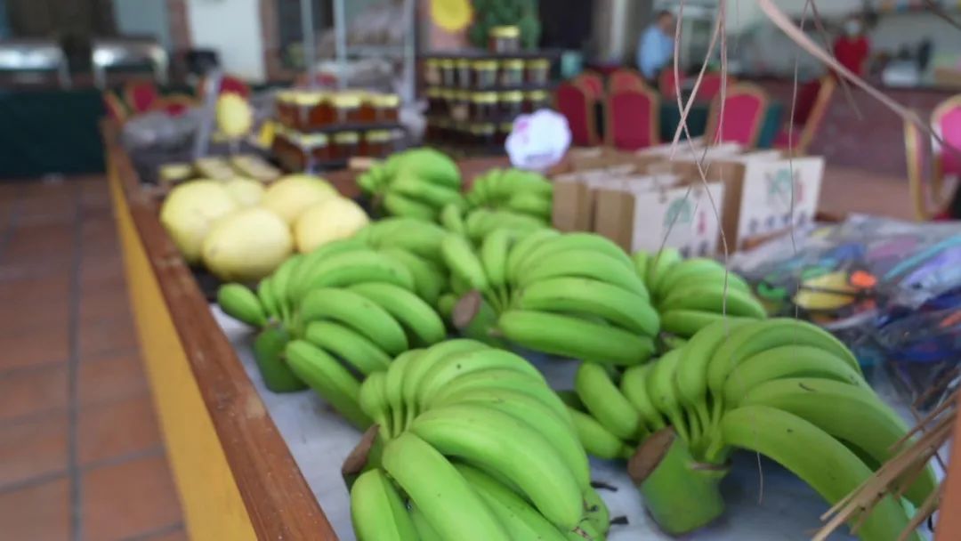 福建长泰：福之旅·主播带你游——绿色生态享福之旅