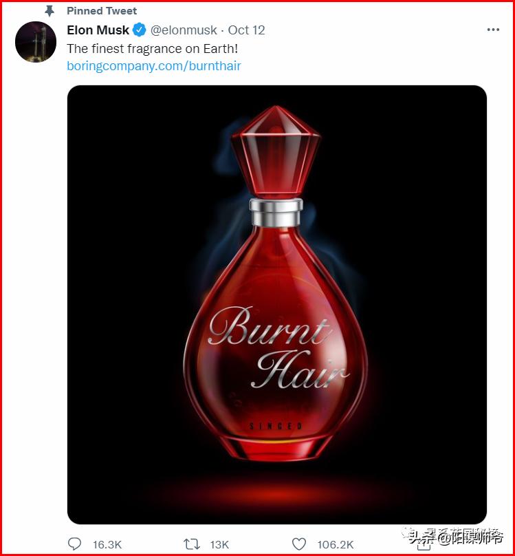 马斯克一开始没钱谁给投资,马斯克没有钱之前做什么