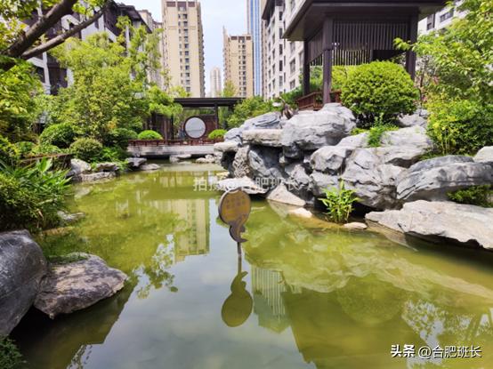 紧邻公园不如住在公园，实探以中式园林闻名的滨湖区葛洲坝紫郡府