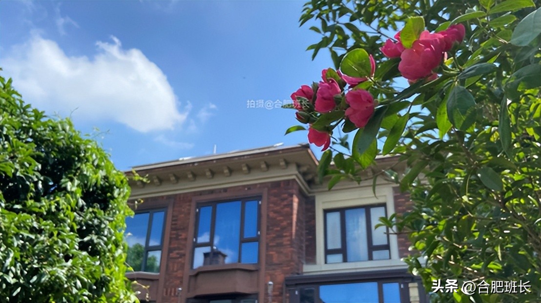 合肥保利西山林语洋房二手房,保利西山林语别墅值得买吗